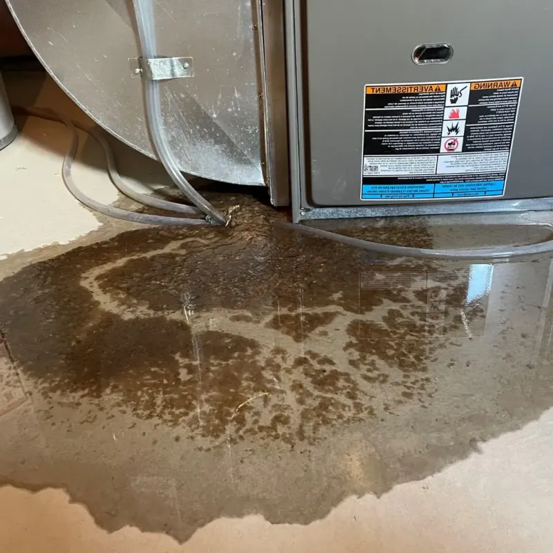 Pipe Burst and Leak Restoration in Reynolds County, MO