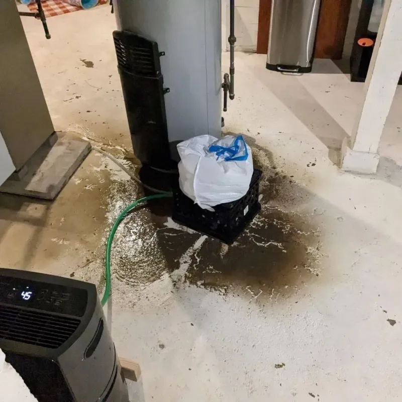 Sewage Backup Cleanup Service in Reynolds County, MO